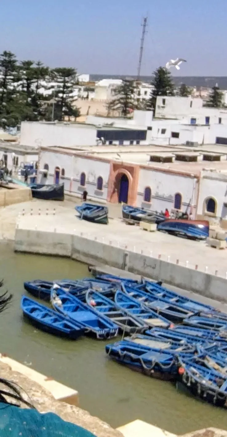 Área do porto de Essaouira, no Marrocos, mostrando vários barcos de pesca tradicionais pintados de azul atracados na água e na rampa de concreto, com construções brancas ao fundo e uma gaivota voando no céu.