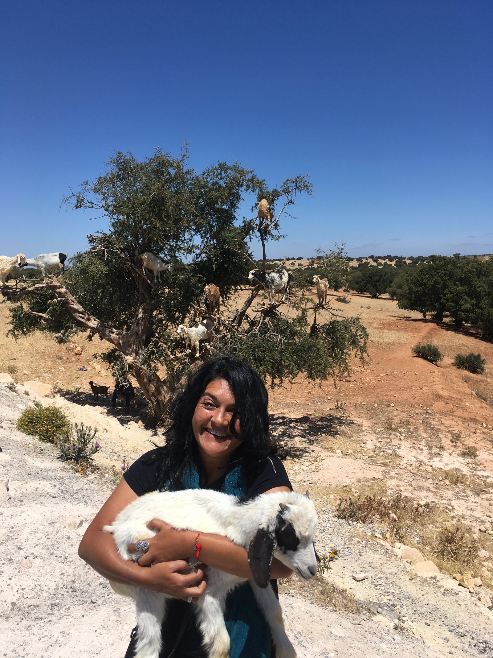 Mulher sorridente em primeiro plano segurando um cabritinho branco com manchas pretas no colo. Ao fundo, destaca-se uma árvore de argan com várias cabras equilibradas nos galhos, em uma paisagem árida de terra batida sob um céu azul sem nuvens no caminho para Essaouira.