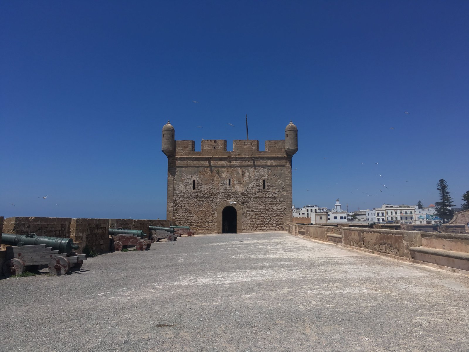 Canhões antigos alinhados nas muralhas de pedra da histórica fortificação de Essaouira, com a torre de vigia e a cidade ao fundo sob um céu azul limpo