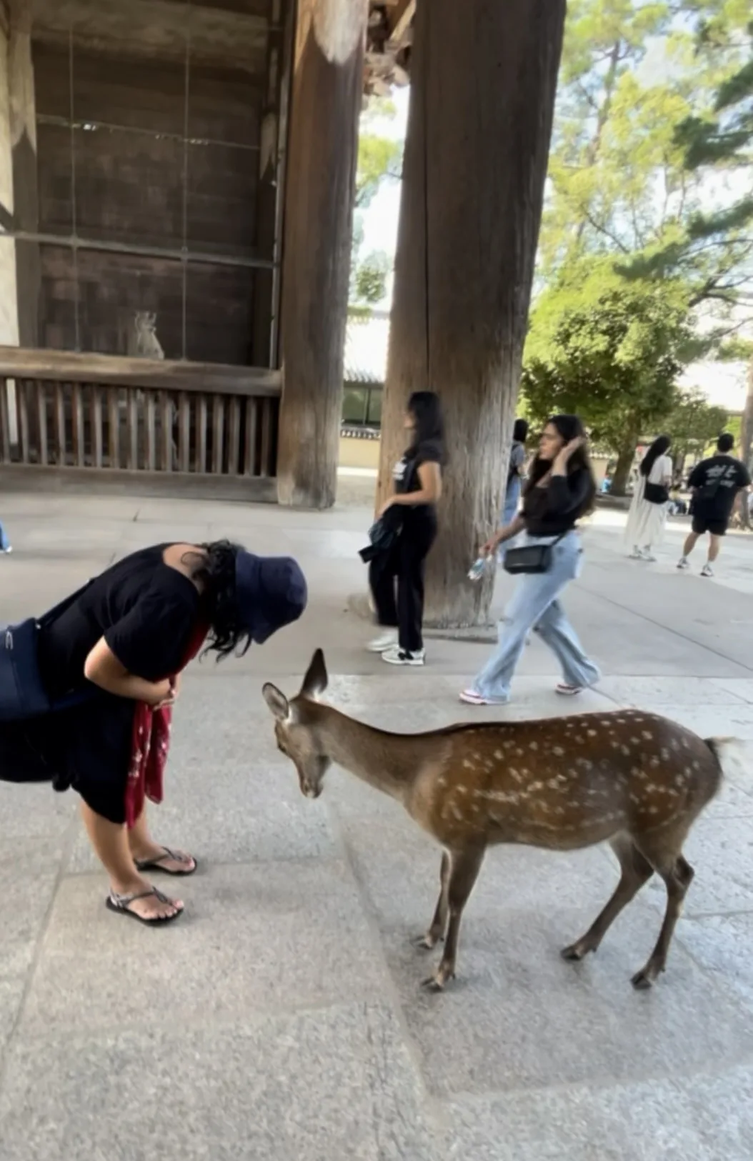 Mulher faz reverência para um cervo que abaixa a cabeça no parque em Nara no Japão.