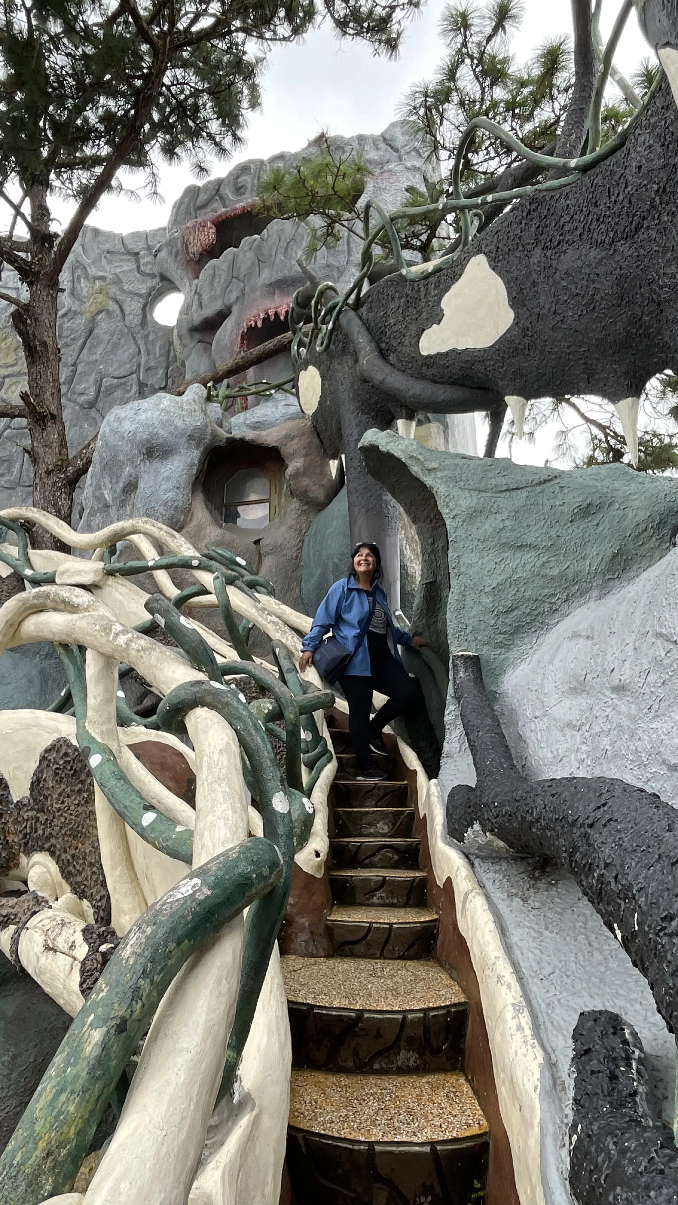 Passarelas curvas em formato de galhos de árvore na Crazy House em Dalat.