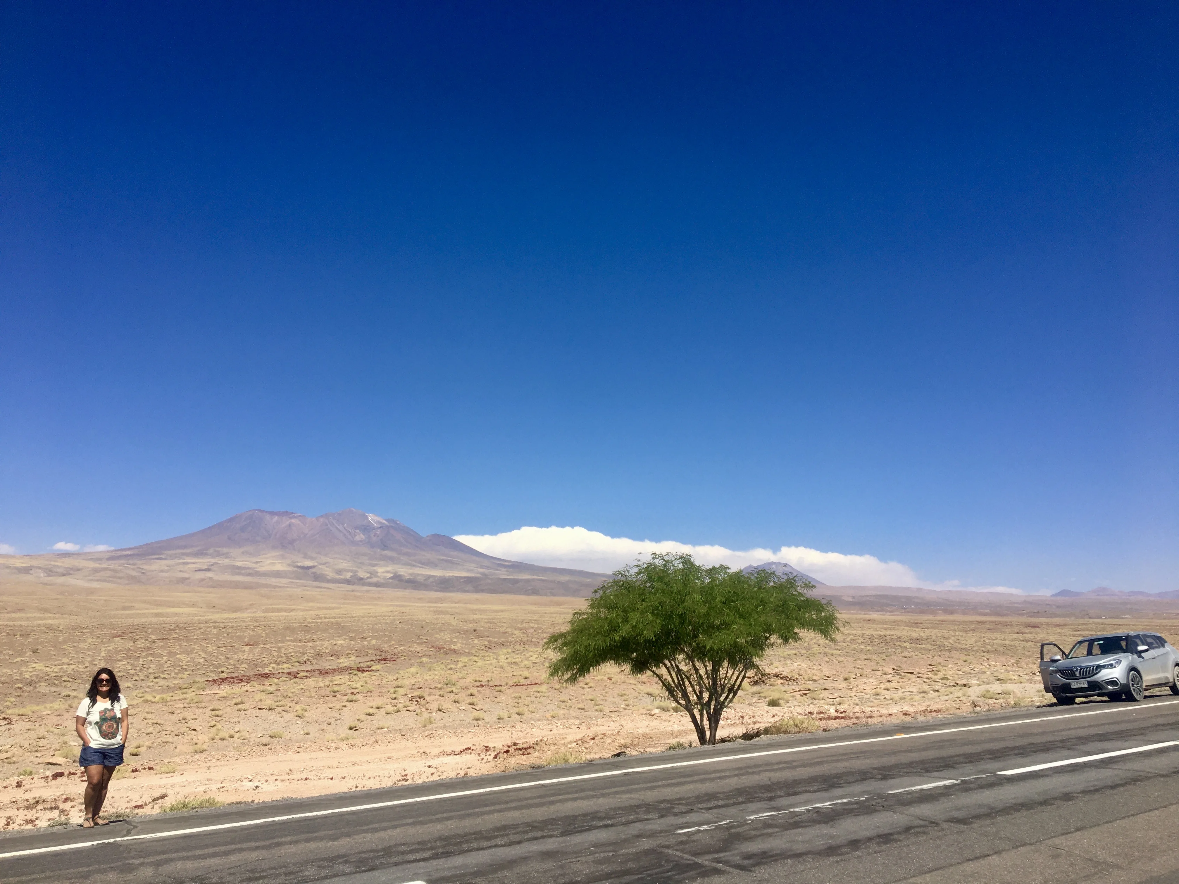 Mulher sorri parada na beira da longa rodovia asfaltada com árvore verde e carro prateado estacionado no Deserto do Atacama.