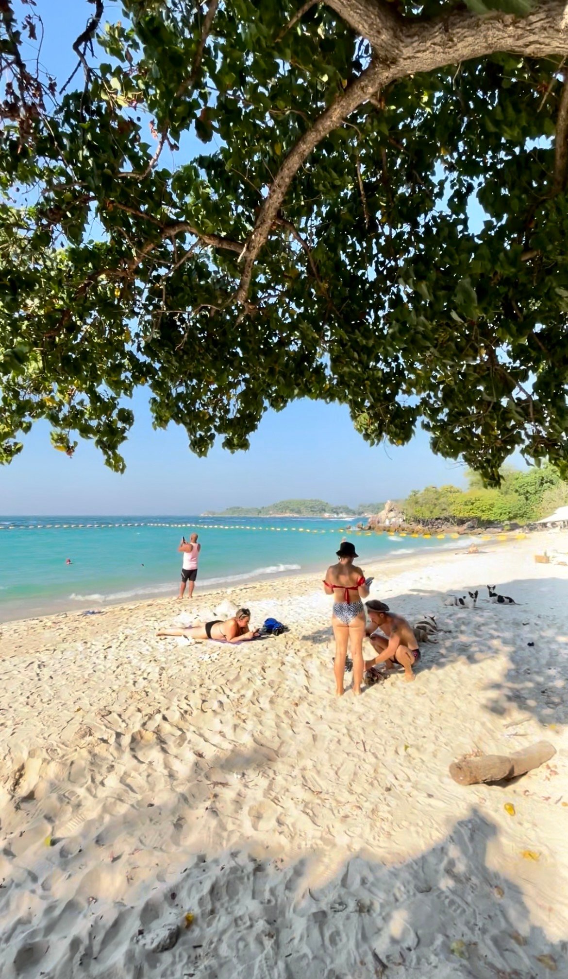 praia em Ko Lan, com o mar azul e colinas verdes ao fundo.