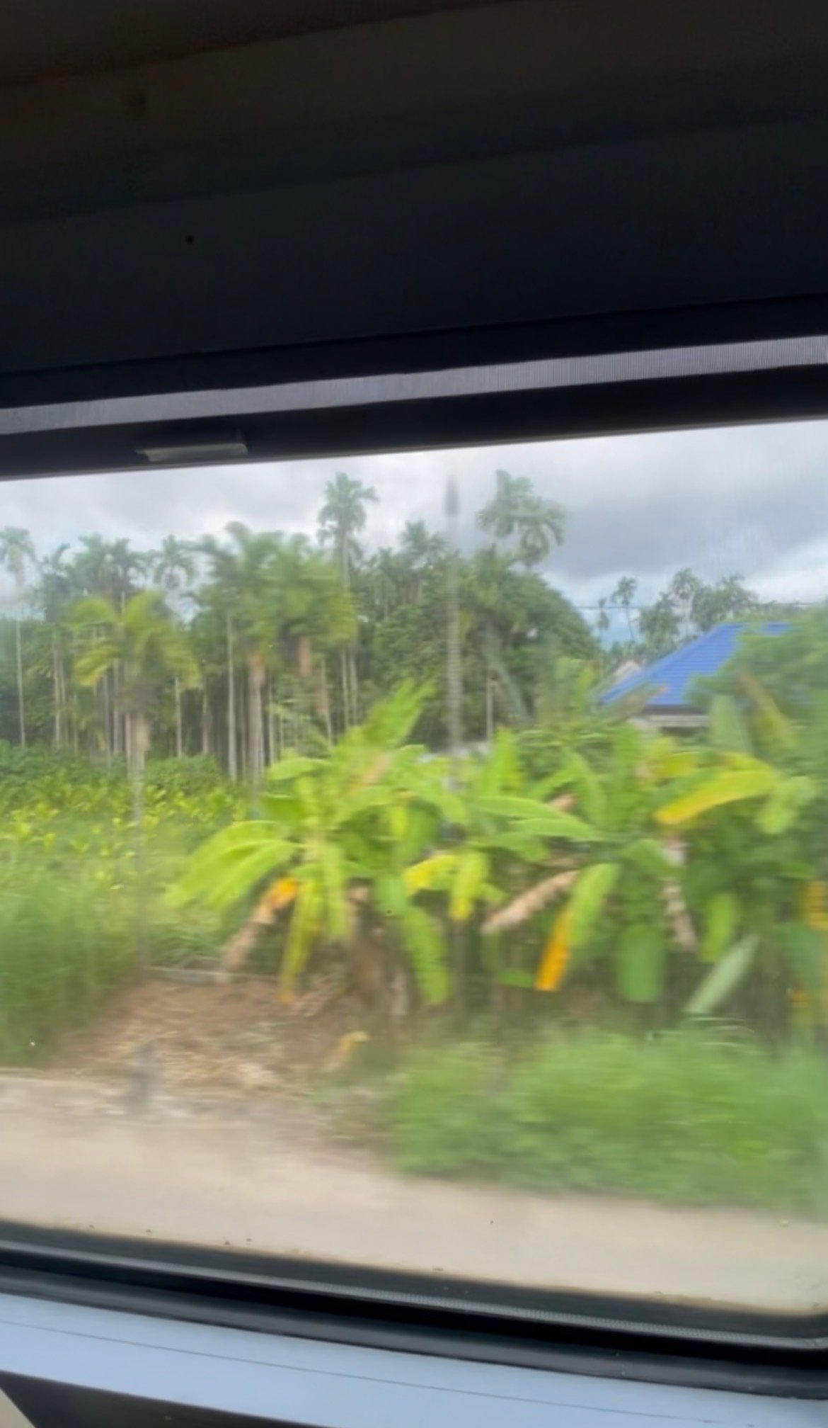 Paisagem rural vista da janela do trem em movimento no Vietnã