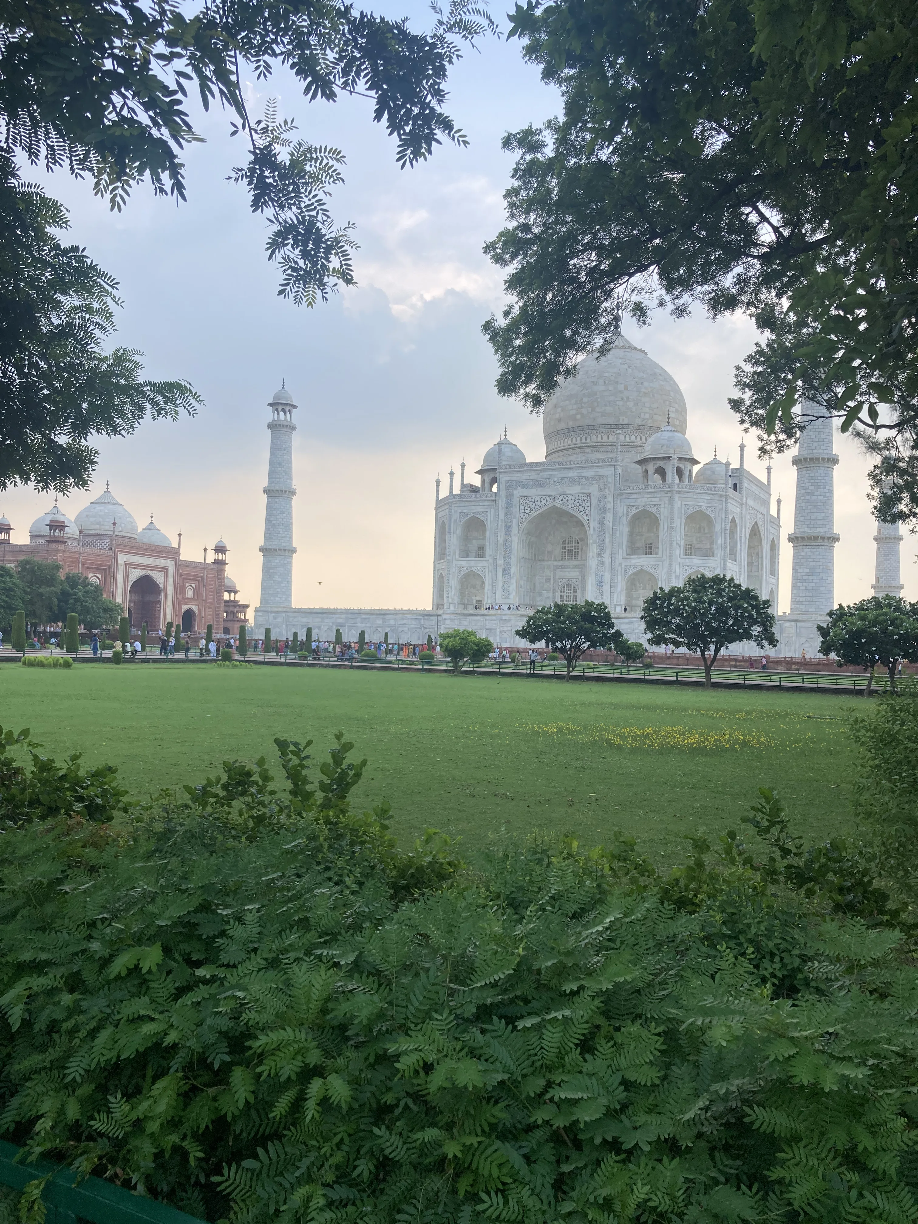 Amplo gramado verde e jardins bem cuidados do complexo do Taj Mahal, emoldurados por folhagens de árvores em primeiro plano, com o mausoléu de mármore branco e a mesquita lateral ao fundo.