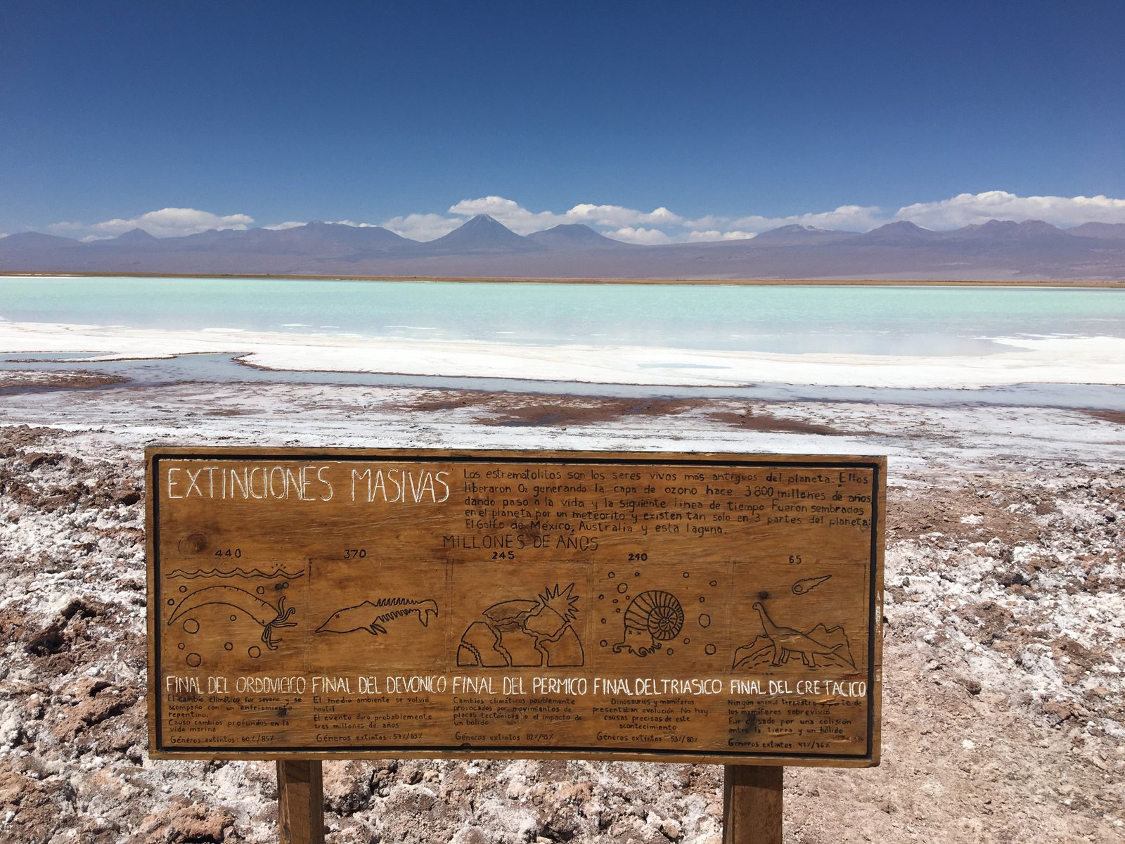 Placa rústica de madeira sobre extinções em massa diante de lagoa turquesa com margem de sal branco e montanhas no Chile.