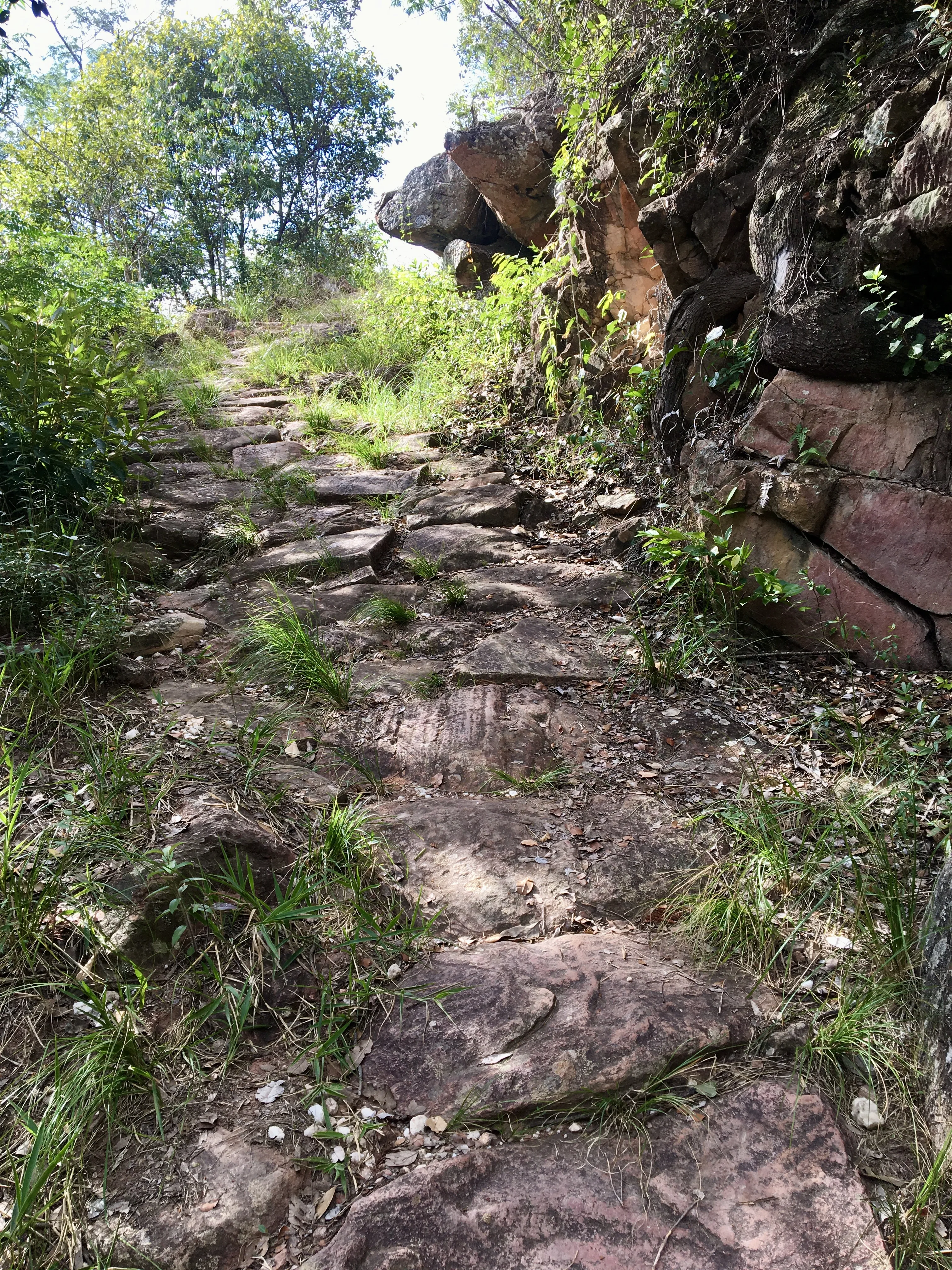 Trilha de caminhada íngreme composta por degraus de pedra irregulares que sobem através de uma área de mata densa. À direita, uma parede de rocha natural coberta por vegetação e raízes expostas, com luz solar filtrada por entre as árvores