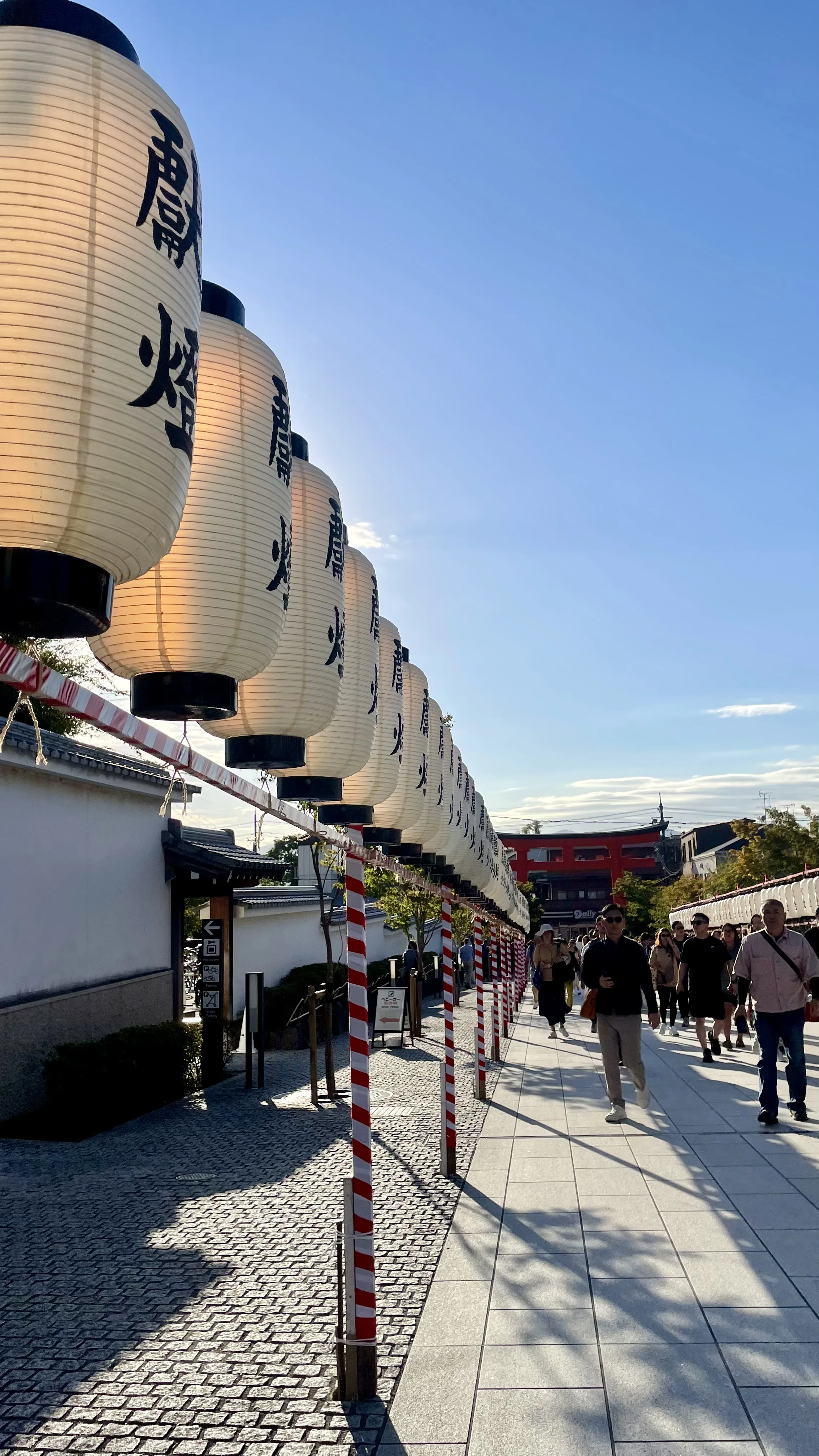 Fileira de grandes lanternas de papel brancas em postes decorados com faixas vermelhas e brancas ao longo de calçada em Kyoto.