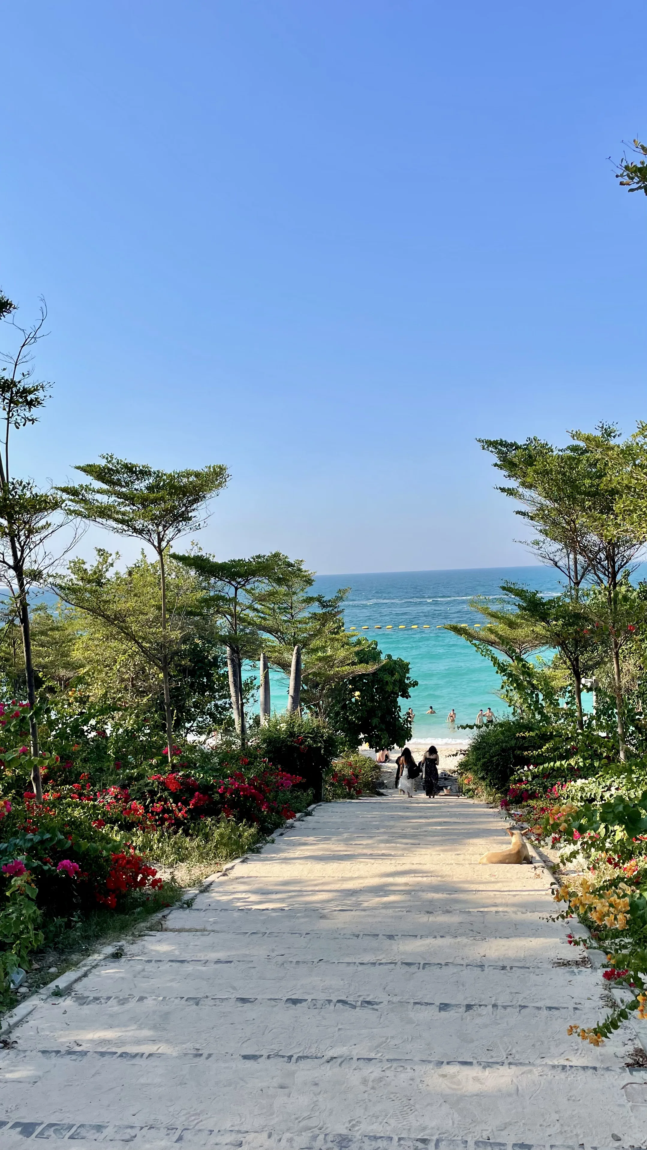 Trilha pavimentada cercada por vegetação tropical e flores vermelhas descendo em direção à praia e ao mar azul em Ko Lan.