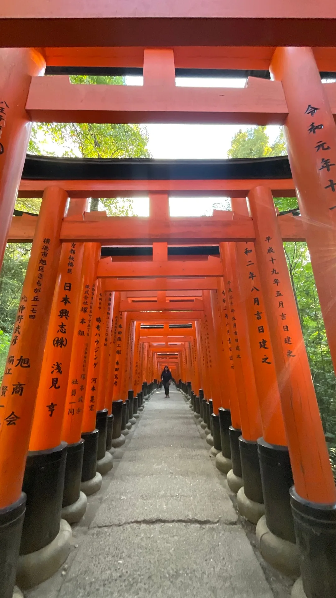 Quioto: A Alma Tradicional do Japão