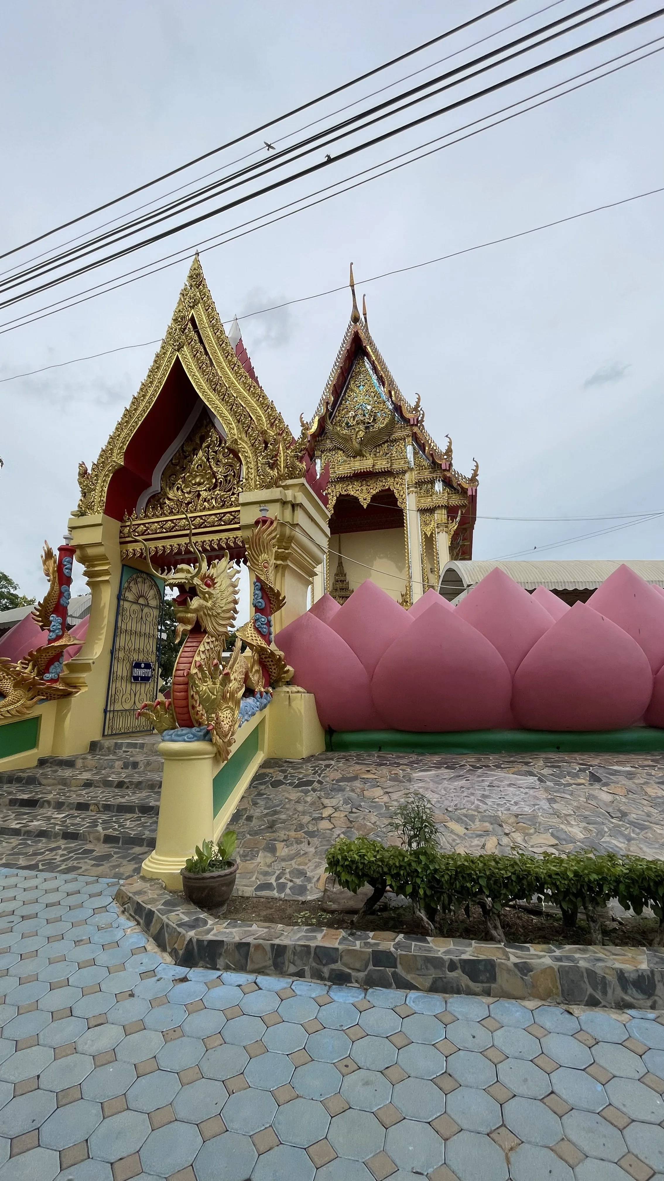 Templo Ubosot cercado por pétalas de lótus cor-de-rosa no complexo de Wat Muang